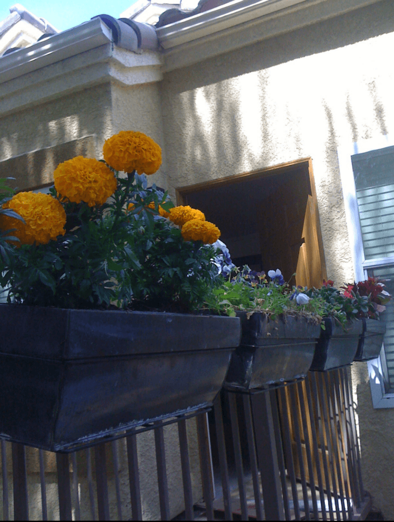 3400 Hathaway Ave #311, Long Beach, CA 90815 - photo 4