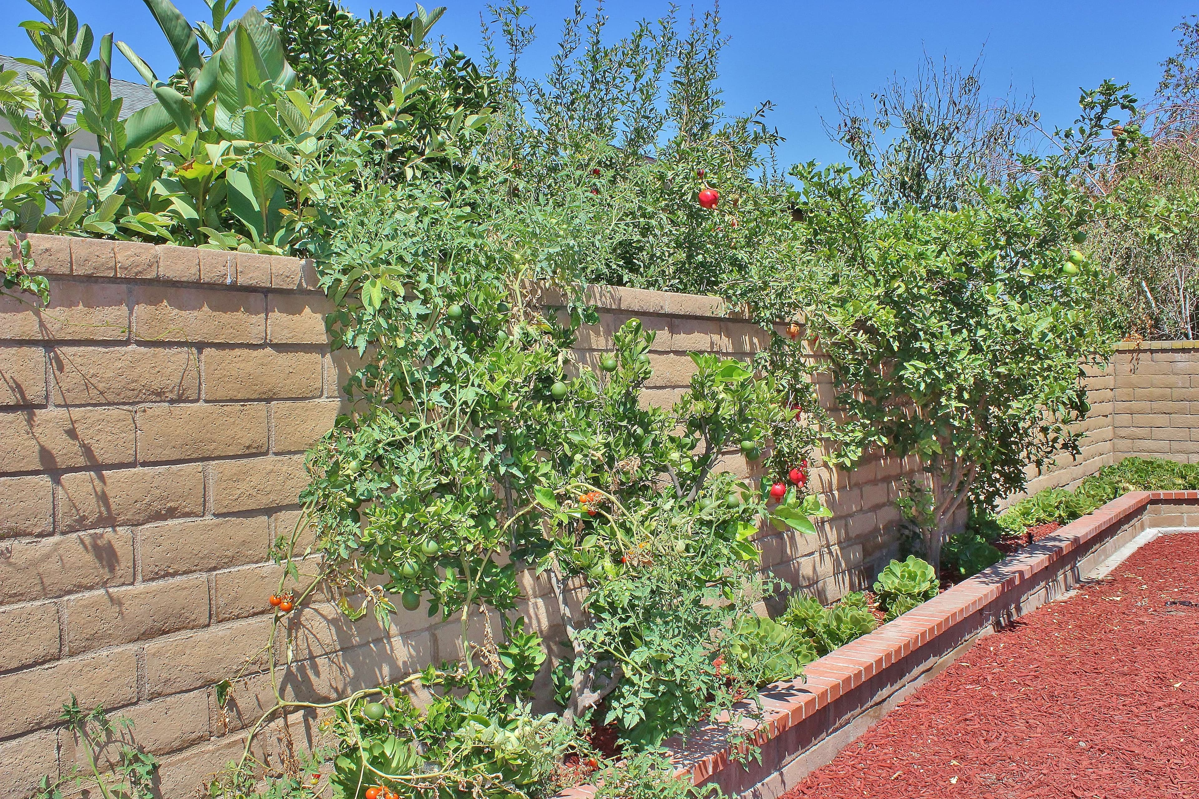 5085 Eucalyptus Cir, Cypress, CA 90630-2911 Orange County - photo 5